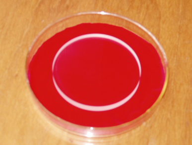 折射位相 折射位相